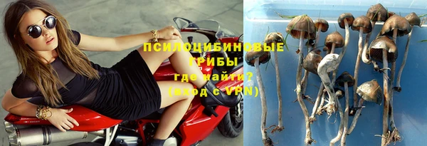 МДПВ Абинск