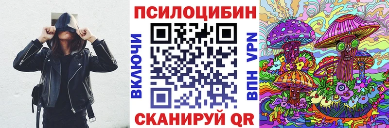 Псилоцибиновые грибы Cubensis Ужур